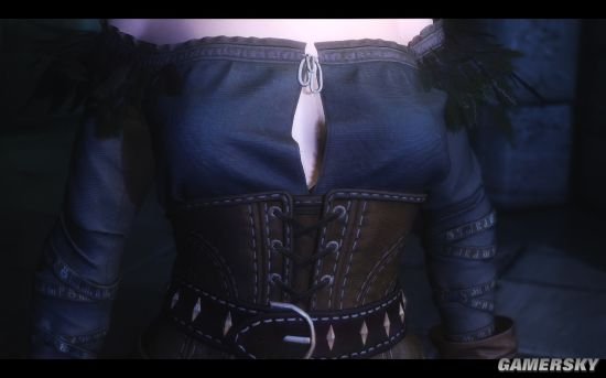 《上古卷轴5》女生向MOD合集第2弹 巫师3、恶魔城Shanoa等服装MOD