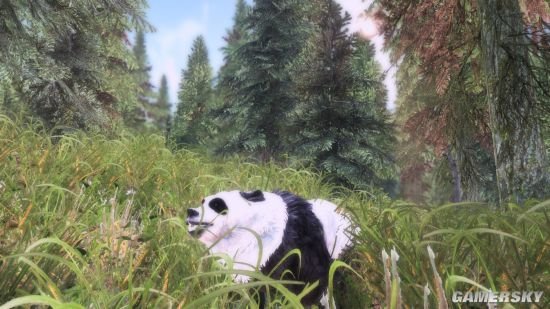 《上古卷轴5》女生向MOD合集第2弹 巫师3、恶魔城Shanoa等服装MOD