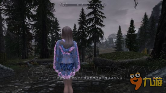 《上古卷轴5重制版》mod合集第2弹 随从、NPC美化及武器装备mod大全