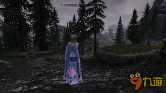 《上古卷轴5重制版》mod合集第2弹 随从、NPC美化及武器装备mod大全