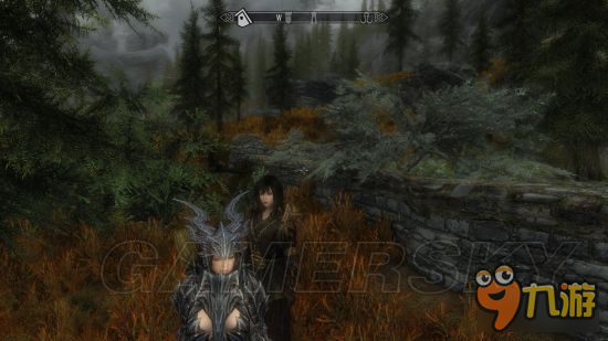 《上古卷轴5重制版》mod合集第2弹 随从、NPC美化及武器装备mod大全