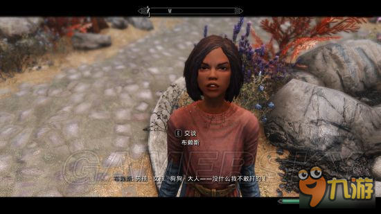 《上古卷轴5重制版》mod合集第2弹 随从、NPC美化及武器装备mod大全