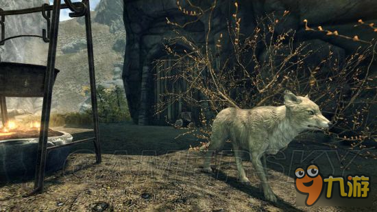 《上古卷轴5重制版》mod合集第2弹 随从、NPC美化及武器装备mod大全