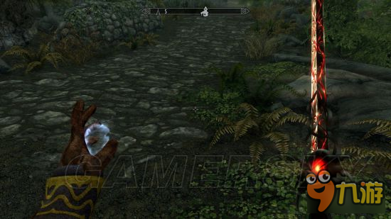 《上古卷轴5重制版》mod合集第2弹 随从、NPC美化及武器装备mod大全