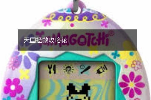 天国拯救攻略花