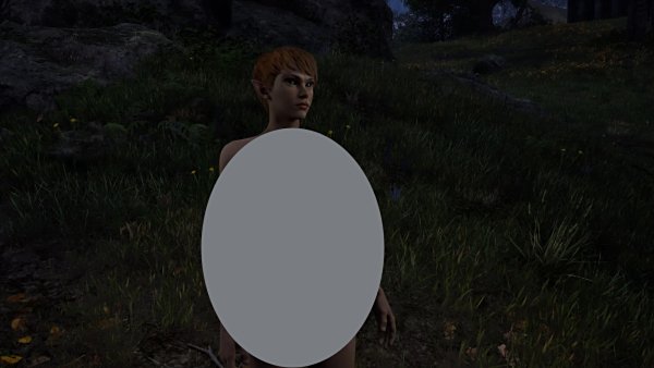 《上古卷轴4：湮灭重制版》NBO身形系统+动态体型变化MOD