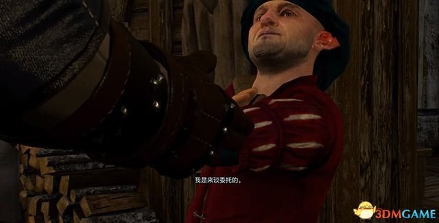 《巫师3：狂猎》次世代攻略百科 全任务全结局全收集全DLC攻略