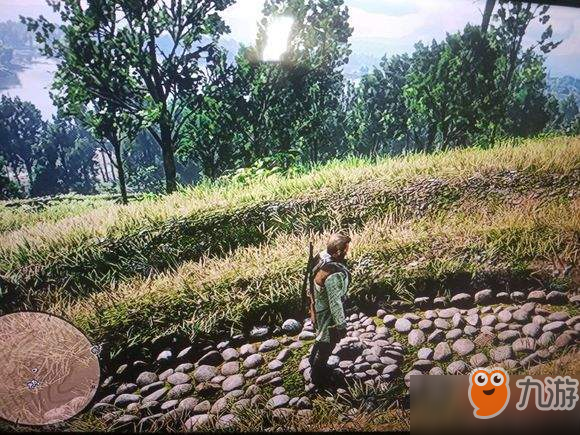 荒野大镖客2四个金条在哪【毒图宝藏4个金条获取攻略】[图]