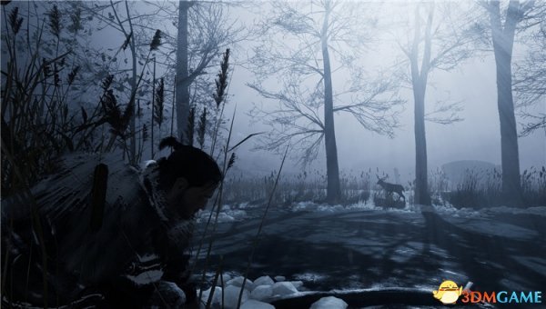 归于沉寂无法进入游戏解决方法