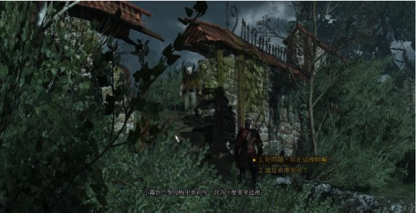 巫师三狂猎石之心DLC全流程攻略 第四节:婚宴回忆(1)