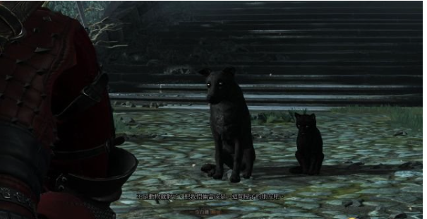 巫师三狂猎石之心DLC全流程攻略 第四节:婚宴回忆(1)