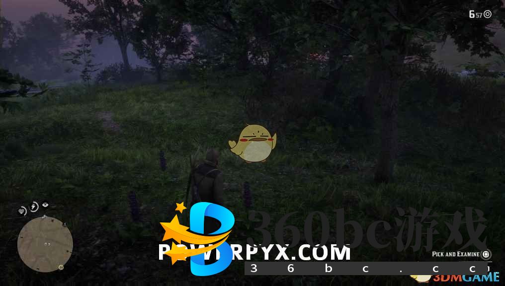 《荒野大镖客2》蜂鸟鼠尾草采集位置介绍