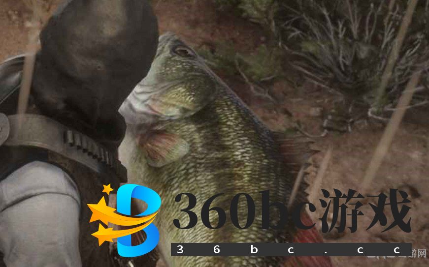 传说大口黑鲈图片2