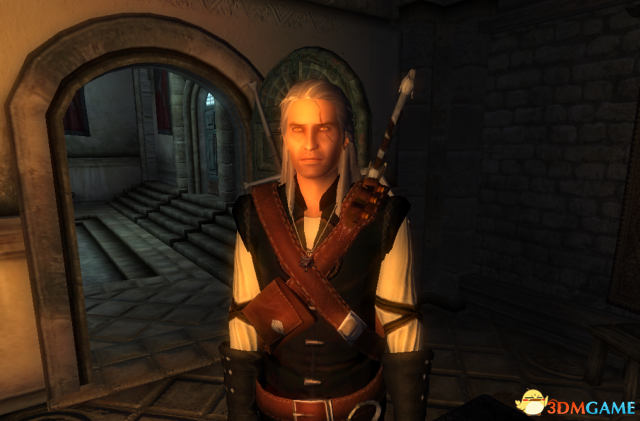 上古卷轴4:湮没 巫师职业种族装备武器技能MOD