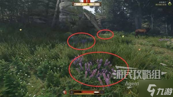 天国拯救2图文攻略大全 所有任务全流程攻略总汇