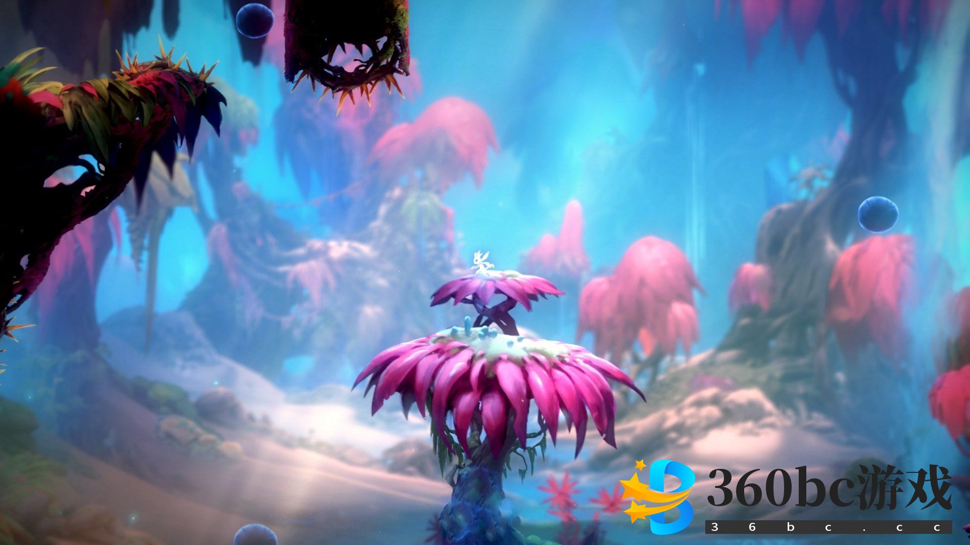 天国拯救2攻略,怪奇短诗集任务指南