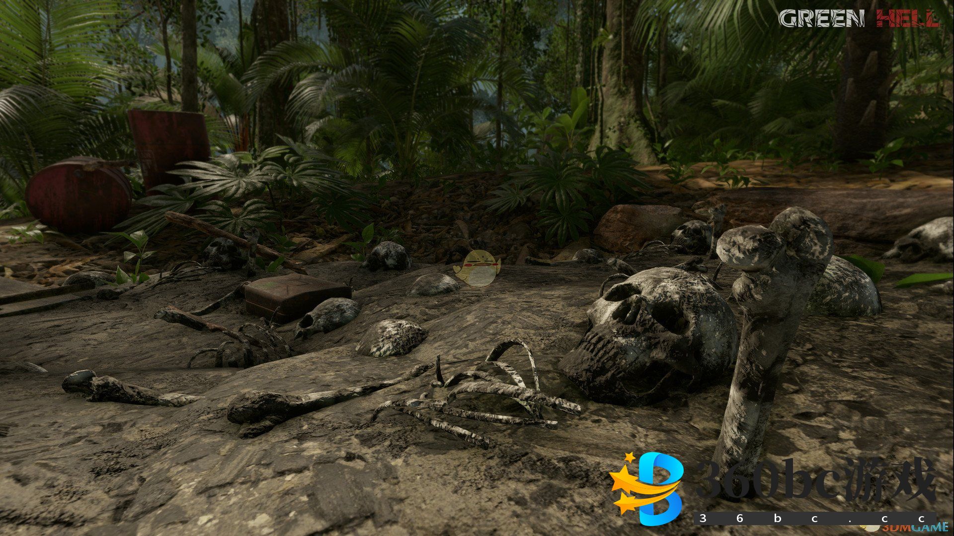 《绿色地狱》骨头作用介绍