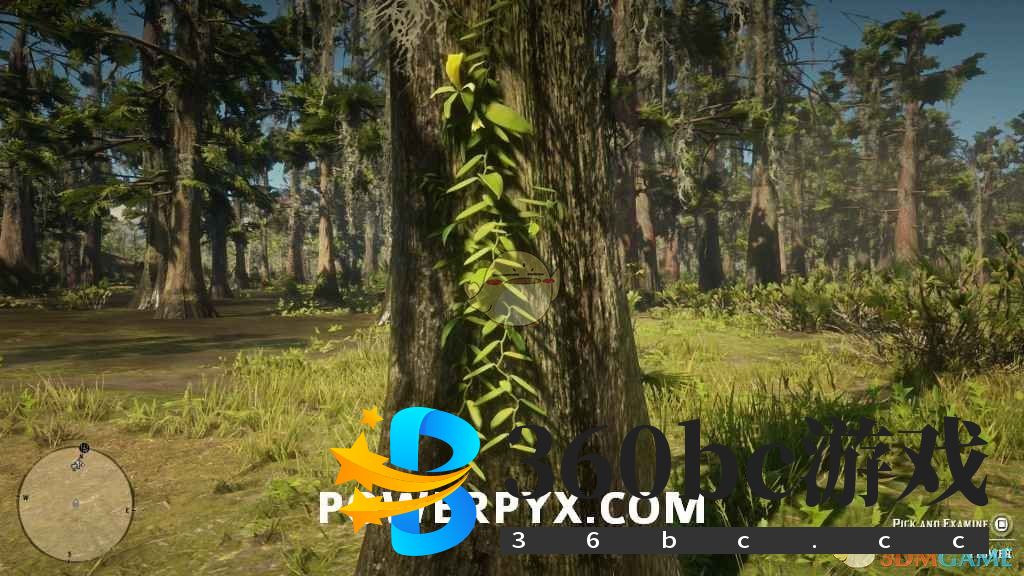 《荒野大镖客2》香荚兰花采集位置介绍